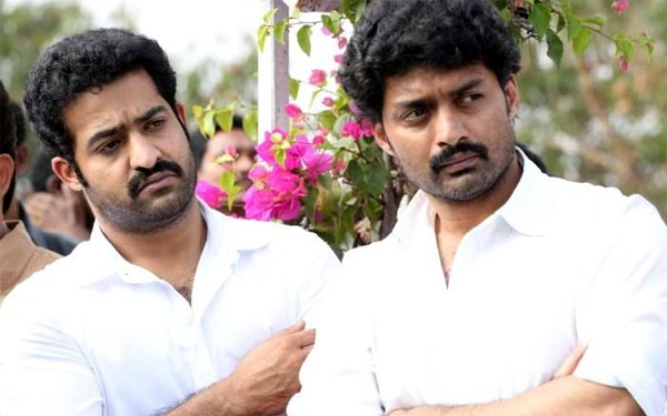 junior ntr,kalyan ram,tamil nadu cm relief fund,tamil nadu floods,chennai  నందమూరి సోదరుల ఔదార్యమ్!